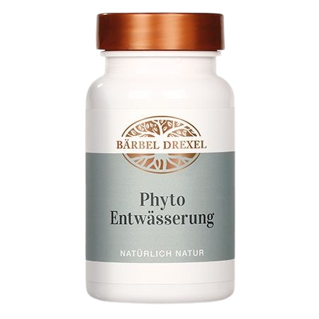 Phyto Entwässerung