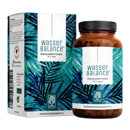 Wasserbalance